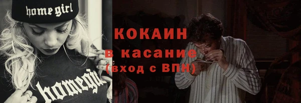 шишки Балашиха