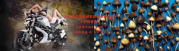 spice Пенза